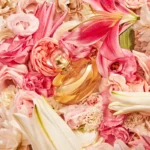 Lily Eau de Parfum, 75ml - Imagen 8