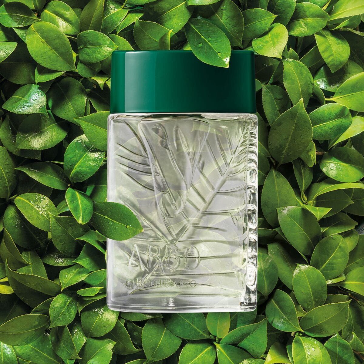Arbo Eau de Toilette, 100ml - Imagen 3