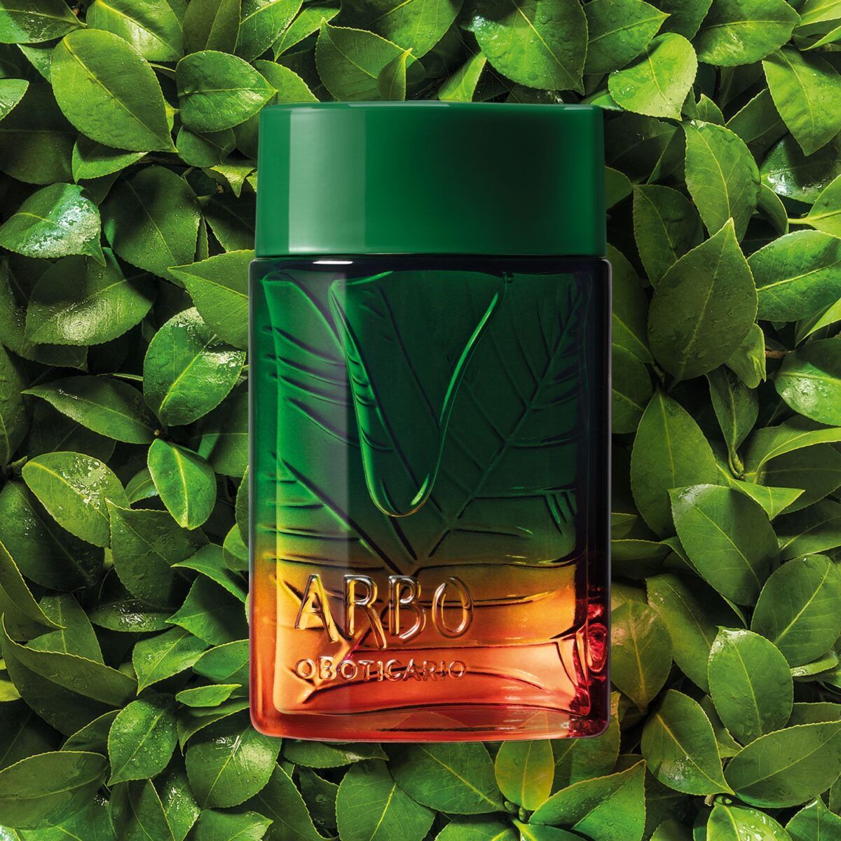 Arbo Liberté Eau de Toilette, 100ml - Imagen 4