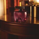 Coffee Adictivo con Aromas Orientales y Frutales 100 ml - Imagen 3